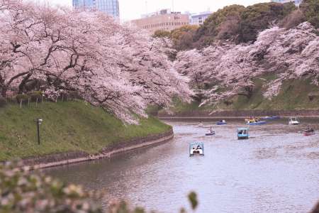 CHIDORIGAFUCHI_90 CHIDORIGAFUCHI_90